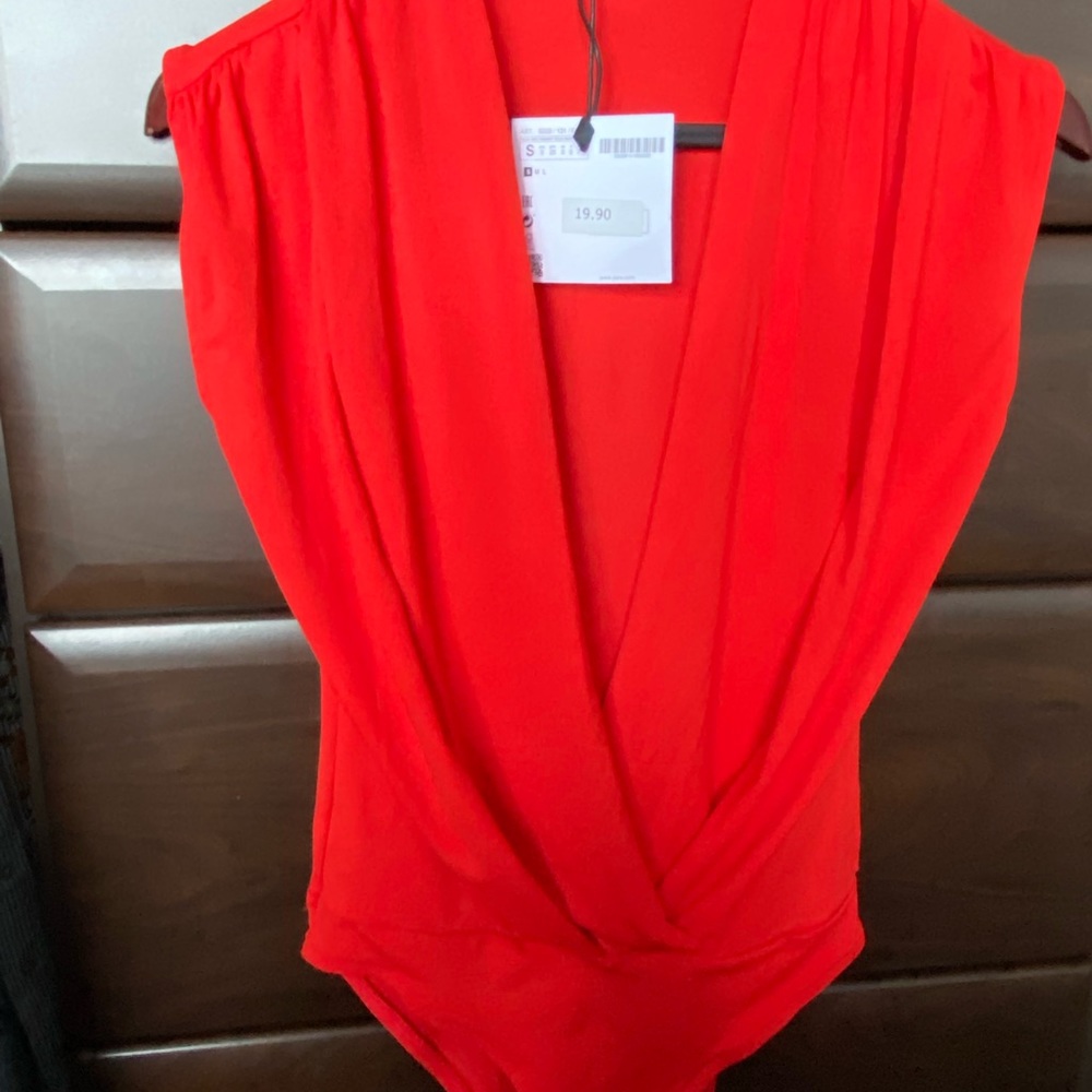 Beautiful, sexy bodysuit.